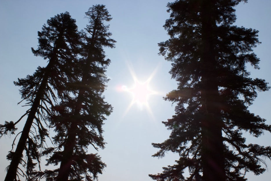 Sun Medicine