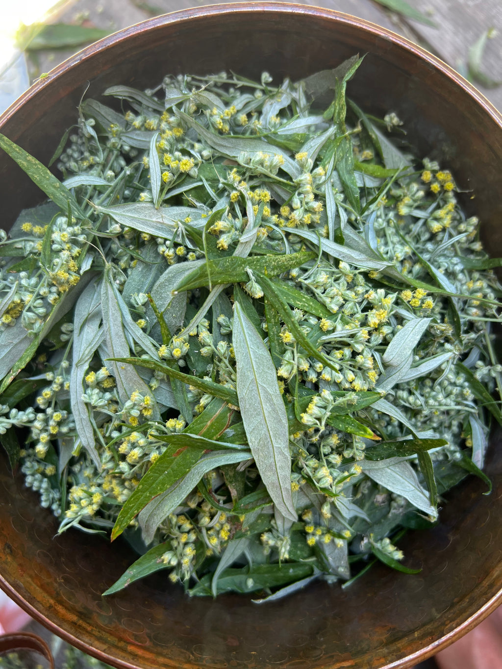 Mugwort Hydrosol