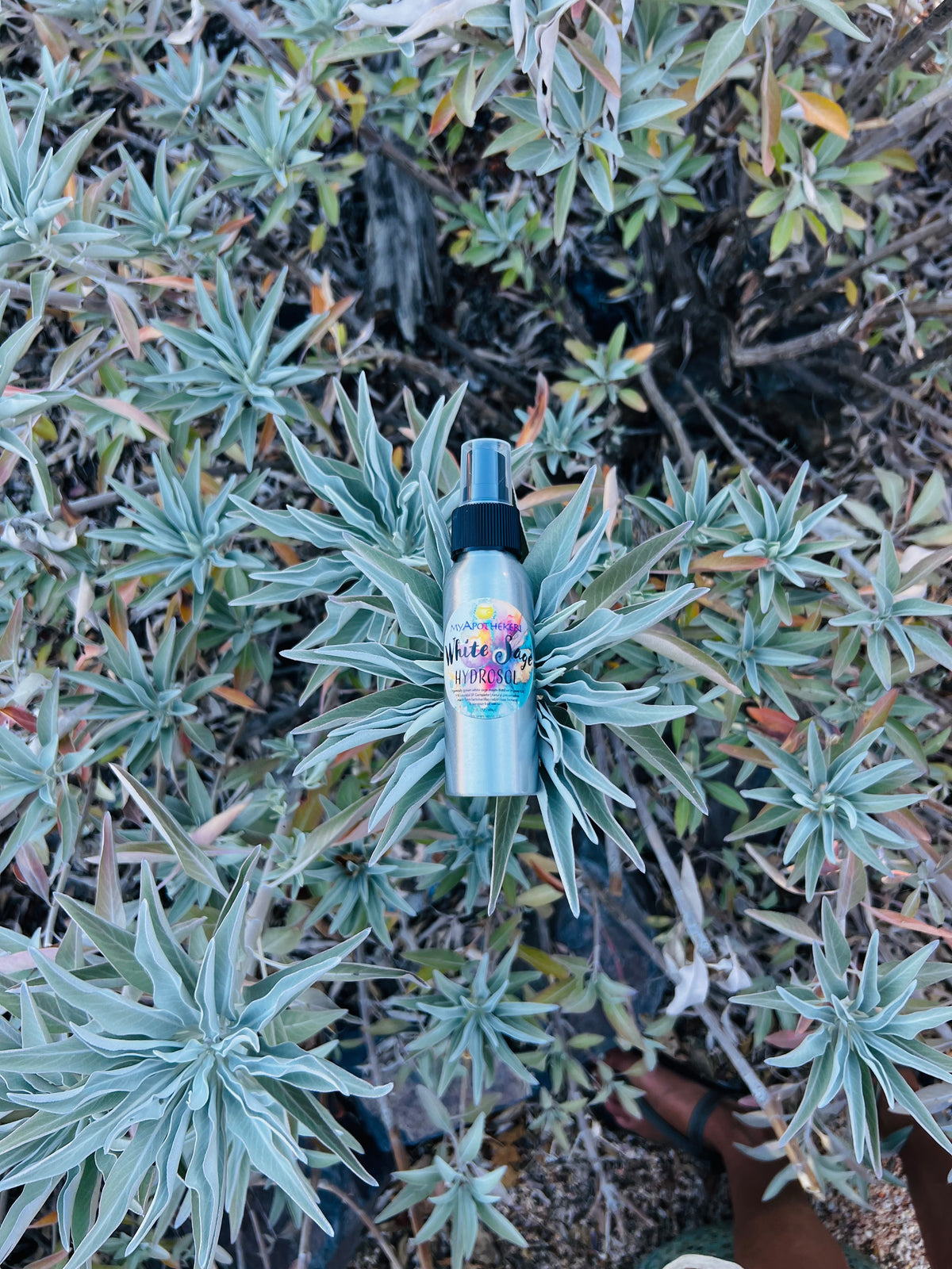 White Sage Hydrosol