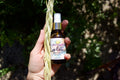 Rose Colored Sweetgrasses Blessings Spray image 0