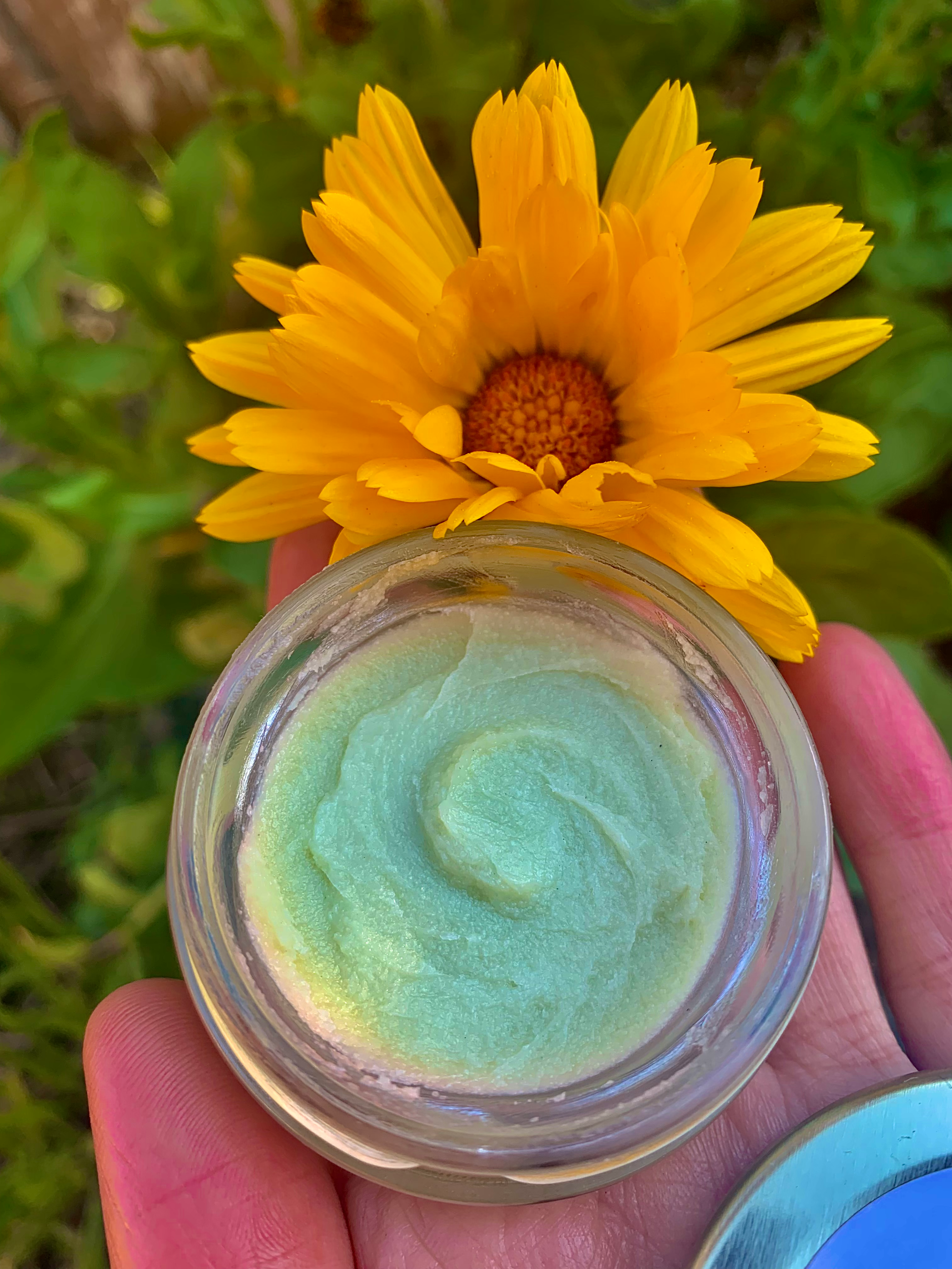 Calendula Anywhere Salve image 0
