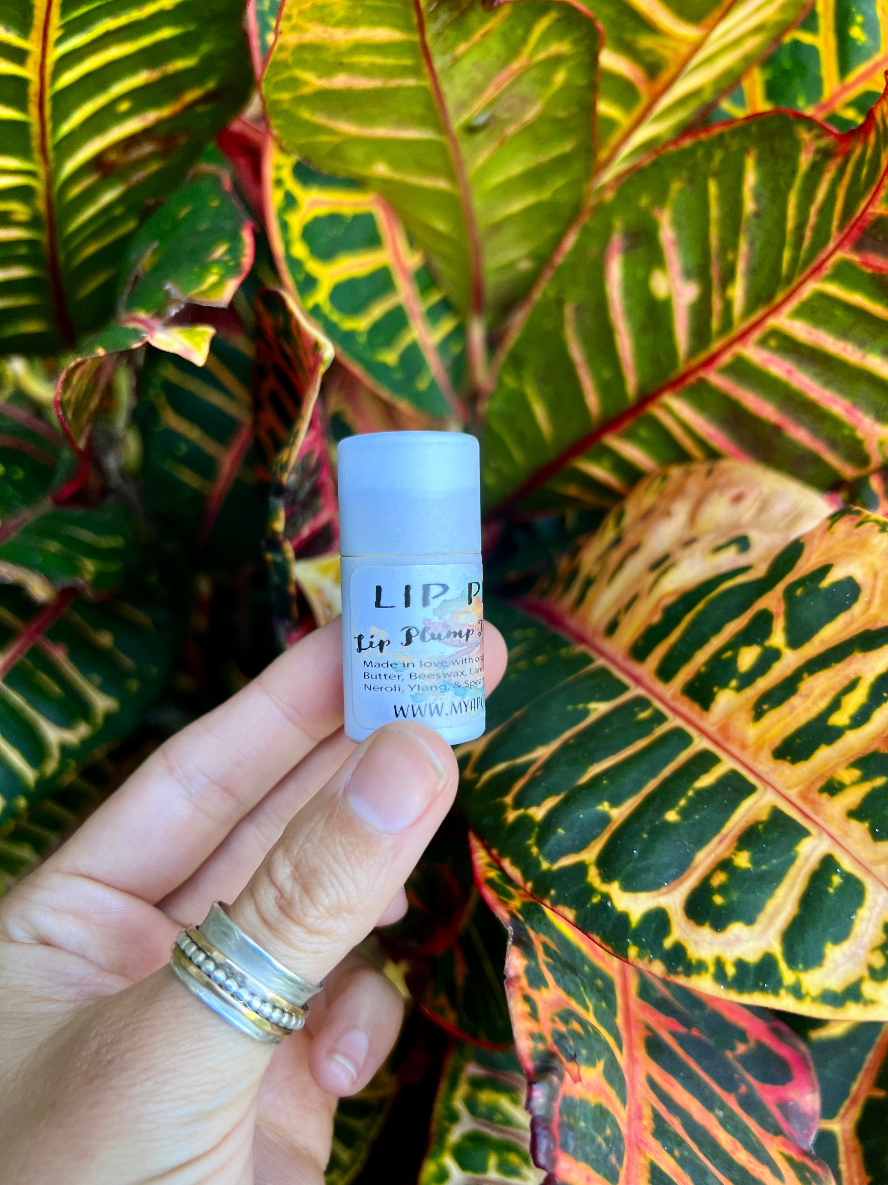 Lip Plump Tallow Balm