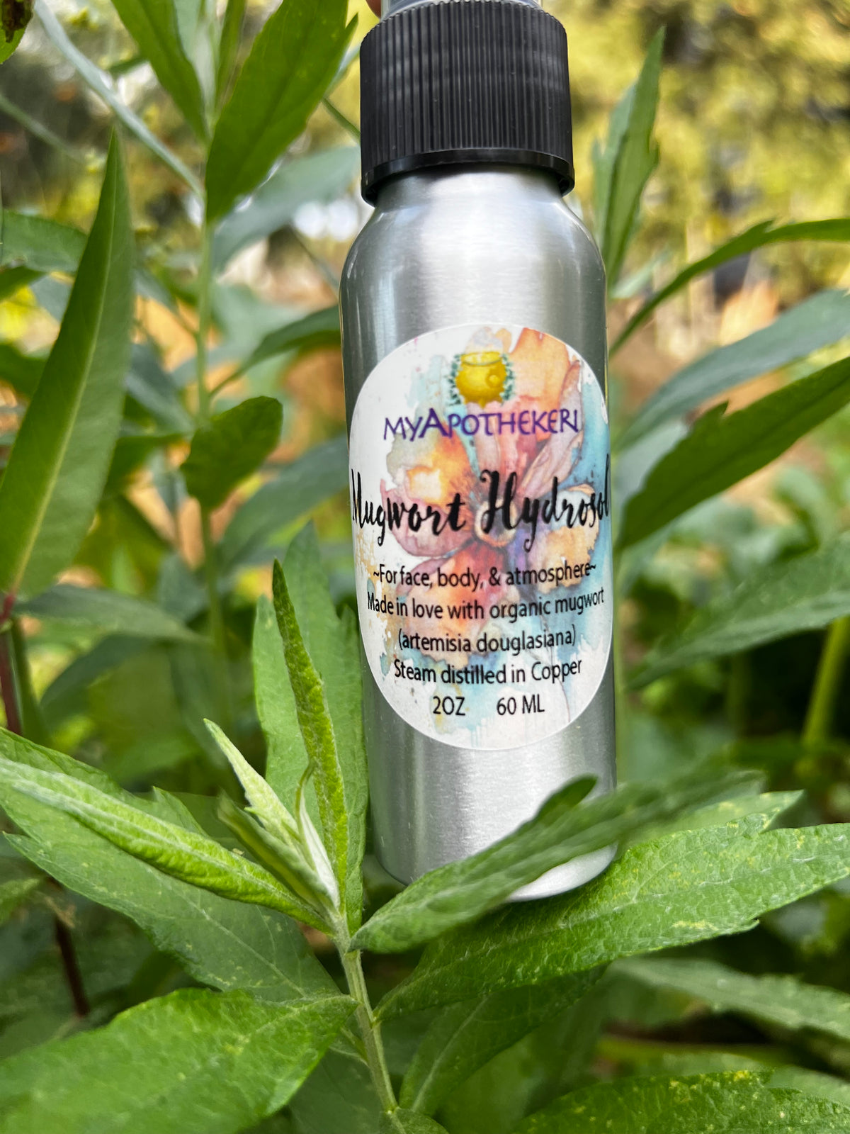 Mugwort Hydrosol