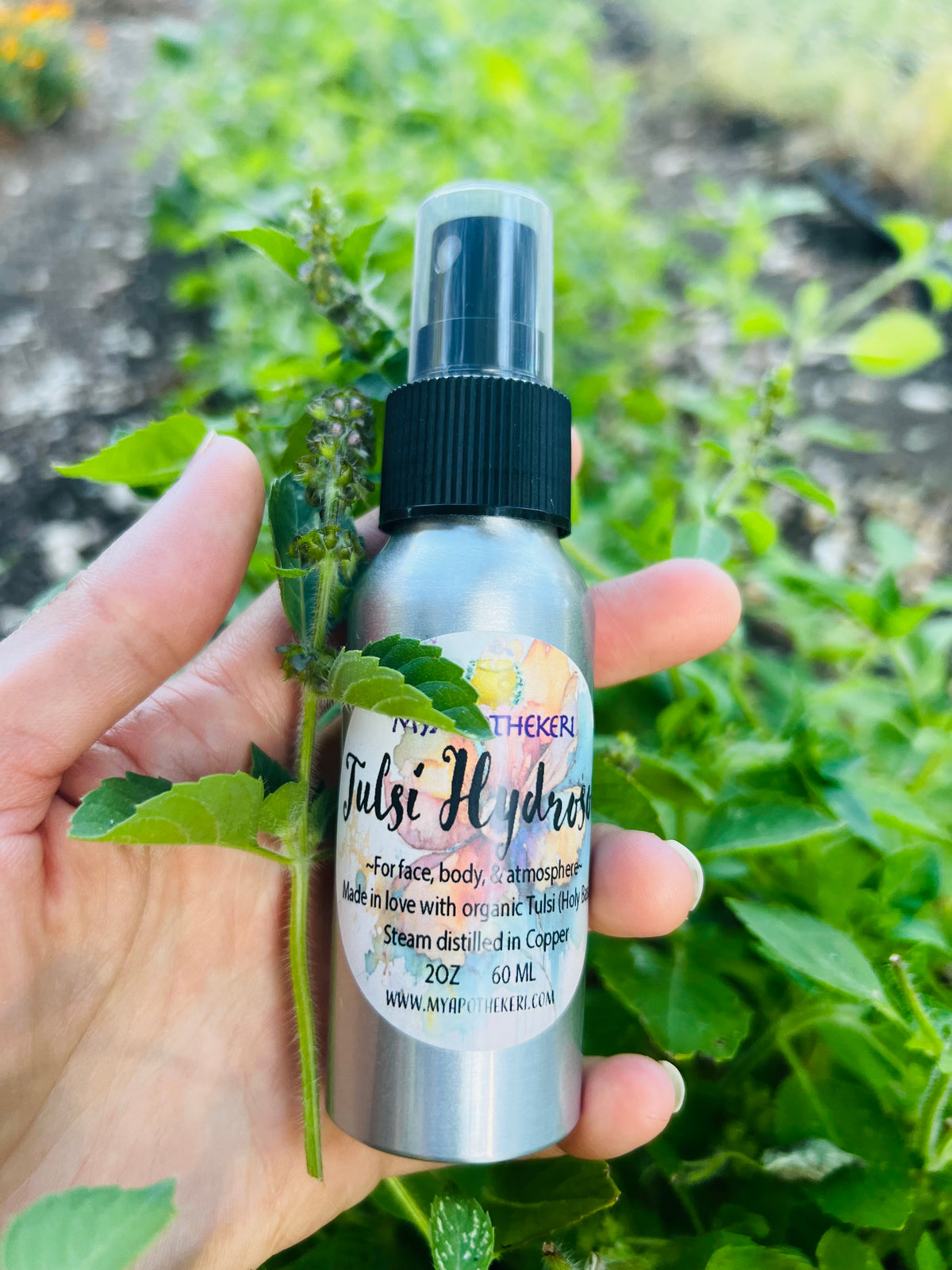 Tulsi Hydrosol