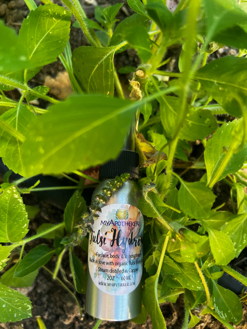 Tulsi Hydrosol