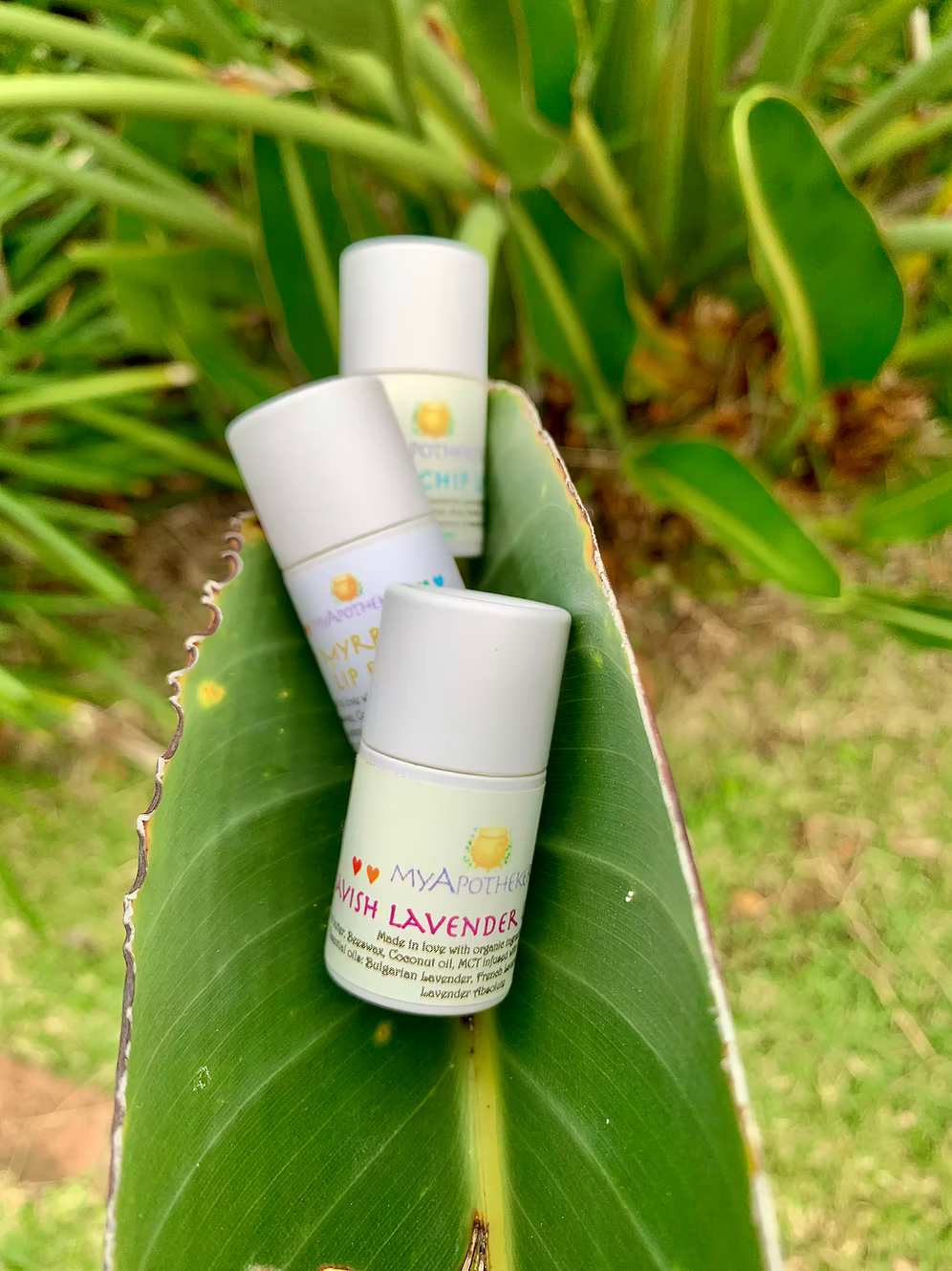 Lip Balm Lover ~ 3 pack