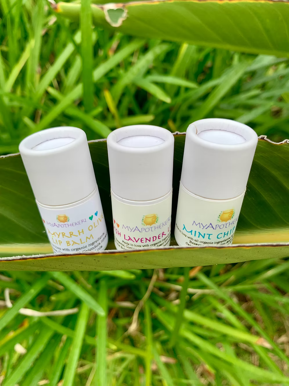 Lip Balm Lover ~ 3 pack